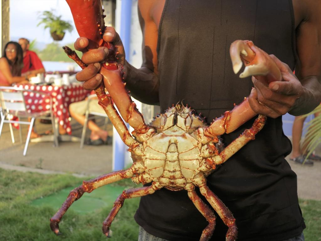 Casa Congo & Casa Rayo Verde - Restaurante - Galeria De Arte Portobelo Dış mekan fotoğraf